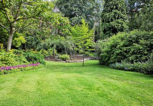 Optimiser l'expérience du jardin à Les Chatelliers-Chateaumur